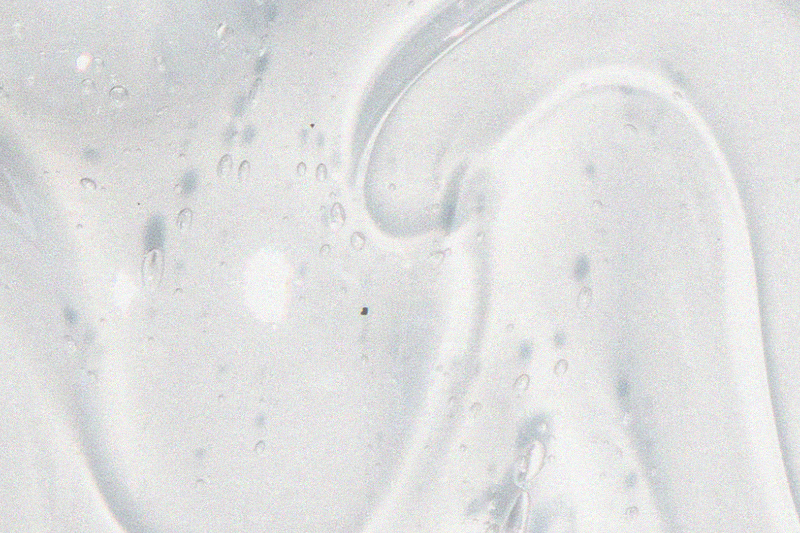 Cleansing - Getting The Simple Things Right